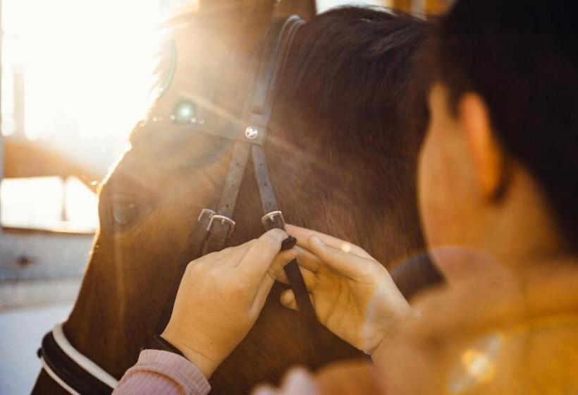 Erlebnisgut & Reiterhof Oberhabach