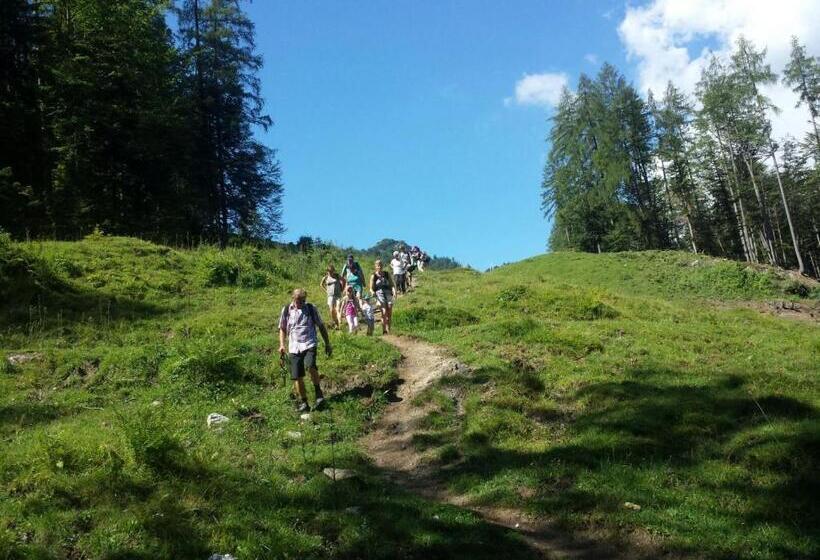 Erlebnisgut & Reiterhof Oberhabach