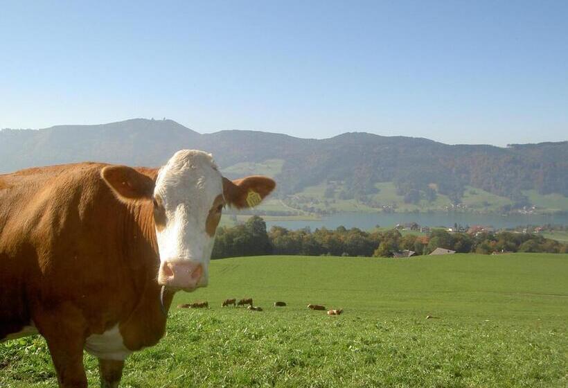 Familienferienhof Stabauer