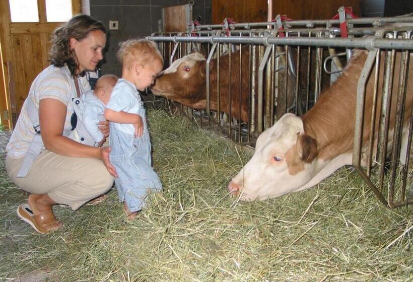 Familienferienhof Stabauer