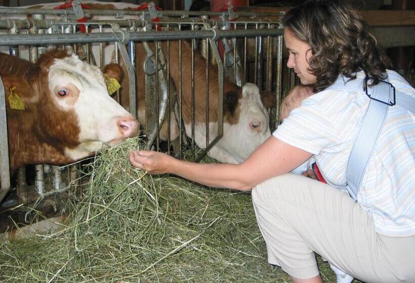 Familienferienhof Stabauer