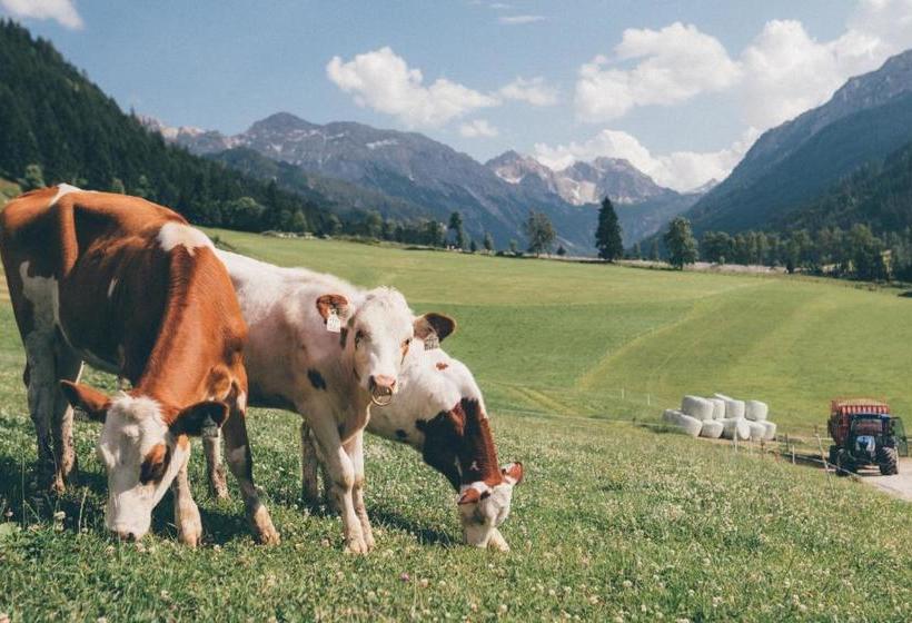 Ferienwohnungen Schwabhof