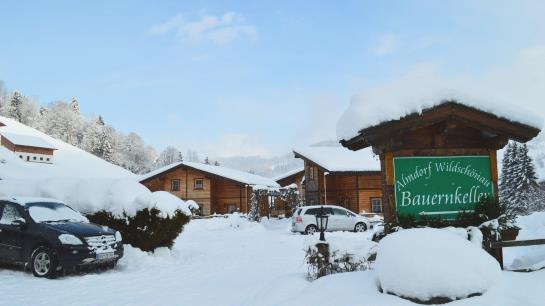 酒店 Almdorf Wildschönau