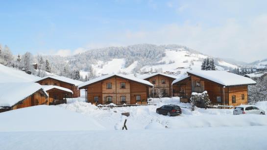 酒店 Almdorf Wildschönau