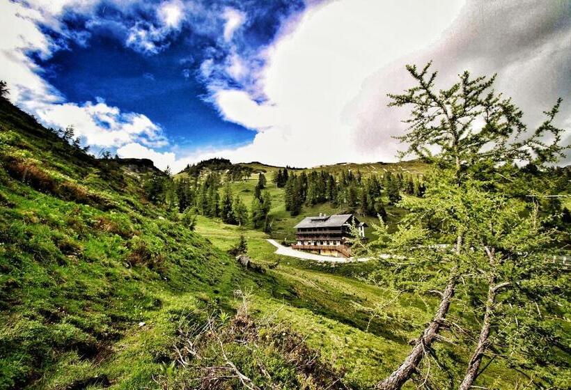 酒店 Alpen Arnika