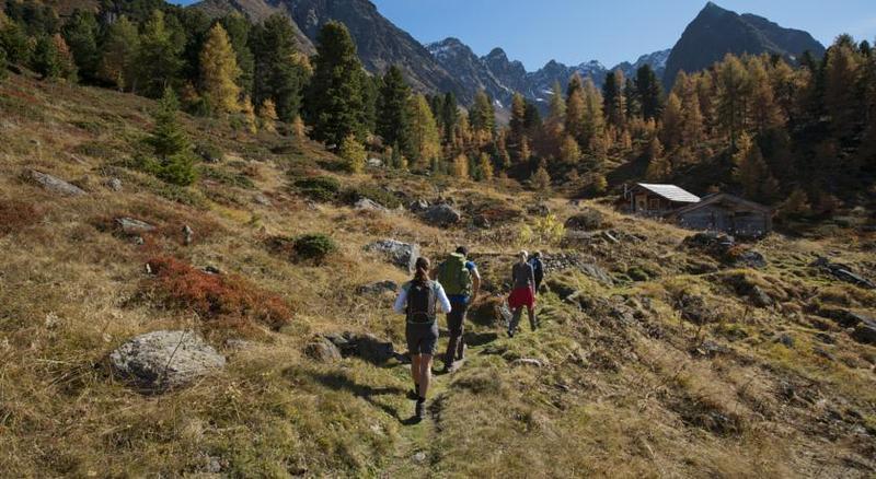 בית מלון כפרי Alpenkönigin