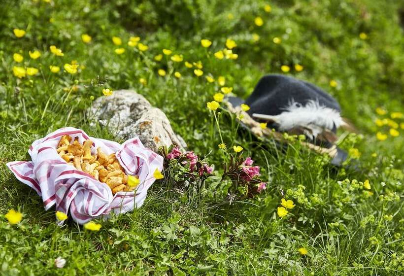 בית מלון כפרי Alpenkönigin