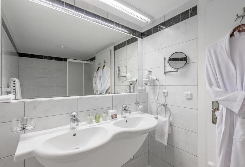 ホテル Alpina Deluxe