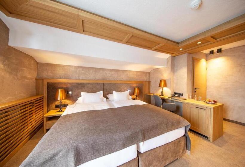 ホテル Alpina Deluxe