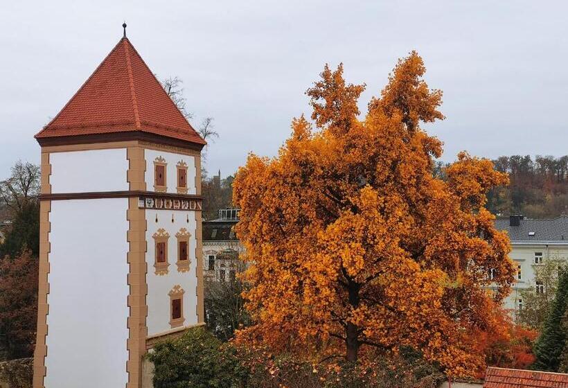 호텔 Amedia Plaza Wels, Trademark Collection By Wyndham