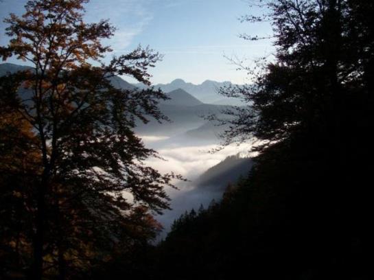 Allimann-Sportlerhof