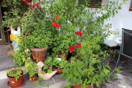 Bauernhof Apartments Zauscherhof