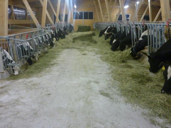 Bauernhof Appartement Zenzi Wurzenrainer