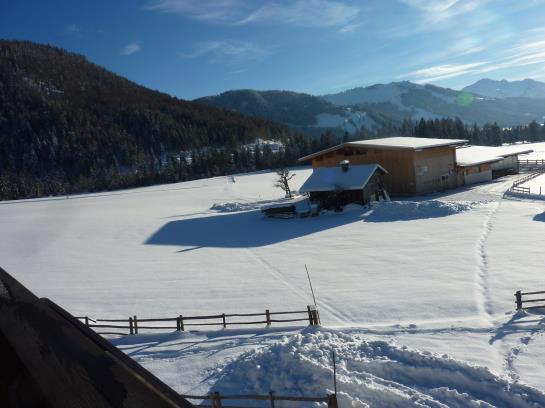 Bauernhof Appartement Zenzi Wurzenrainer