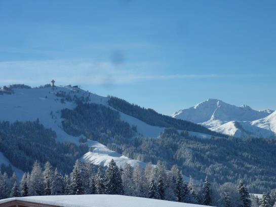 Bauernhof Appartement Zenzi Wurzenrainer