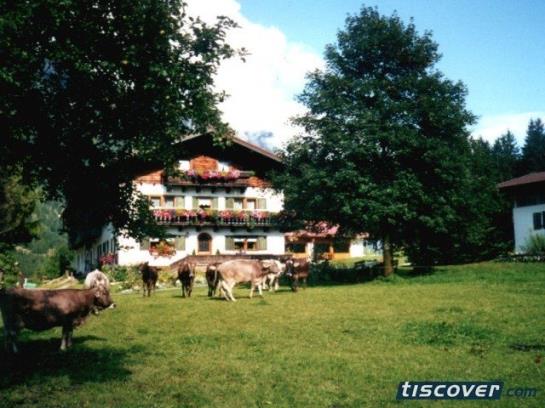 Bauernhof Ascherbauer
