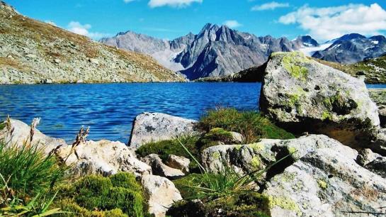 Bauernhof Ban Kneissl's