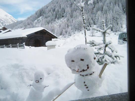 Bauernhof Ban Kneissl's