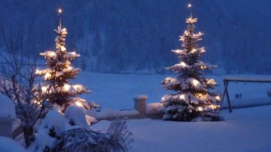 Bauernhof Ban Kneissl's