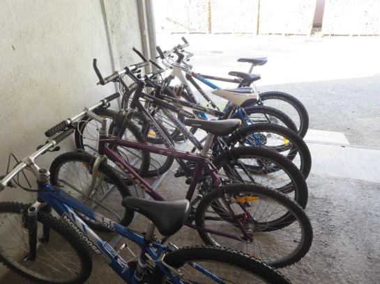 Bauernhof Ban Kneissl's