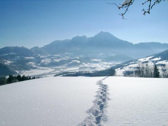 Bauernhof Biohof Gschwandt