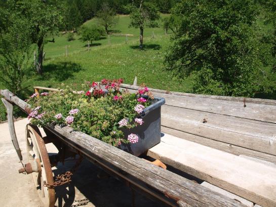 Bauernhof Buchebnerreith