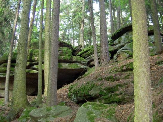 Bauernhof-familie Scheidl