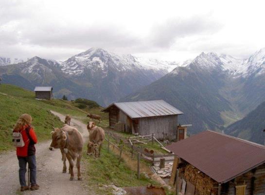 Ferienhaus Hanserhof