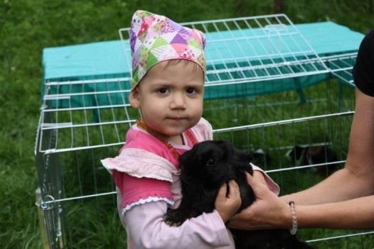 Ferienhaus Hanserhof