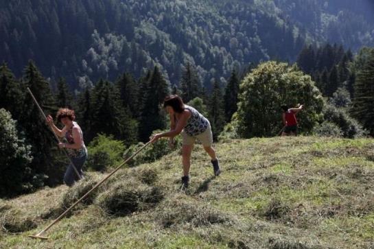 Ferienhaus Hanserhof