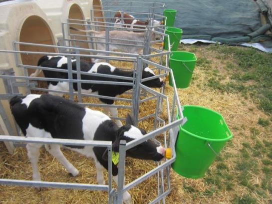 Hüttstädterhof Familie Pötsch