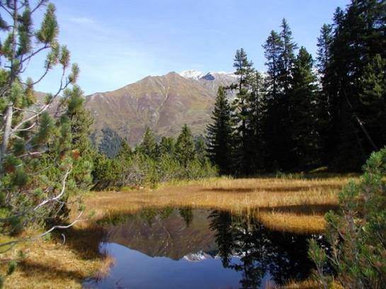 Bauernhof Leitenbauer