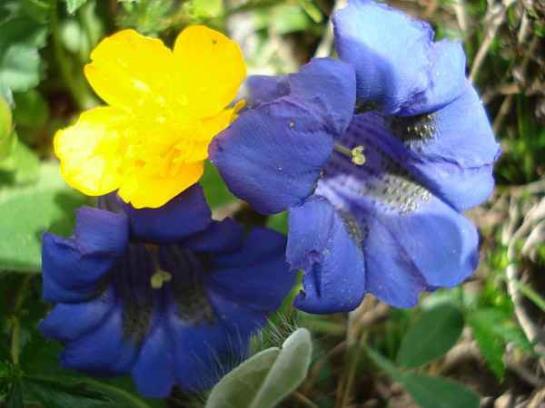 Bauernhof Oberniggler