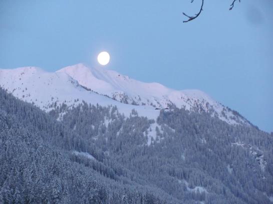 Bauernhof Oberniggler
