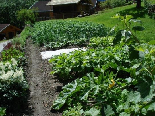 Bauernhof Oberniggler