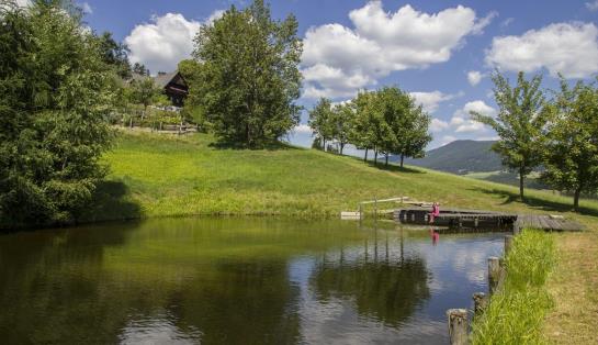 Bauernhof Schoberhof