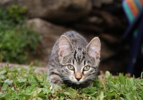 Bauernhof Unternigglerhof