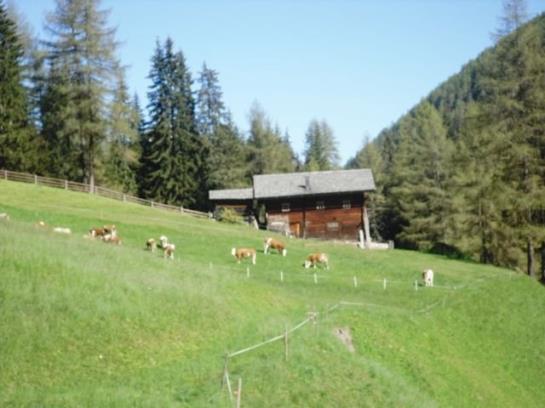 Bauernhof Unternigglerhof