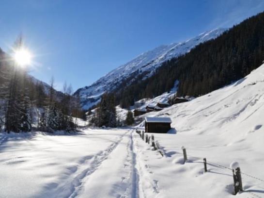 Bauernhof Unternigglerhof