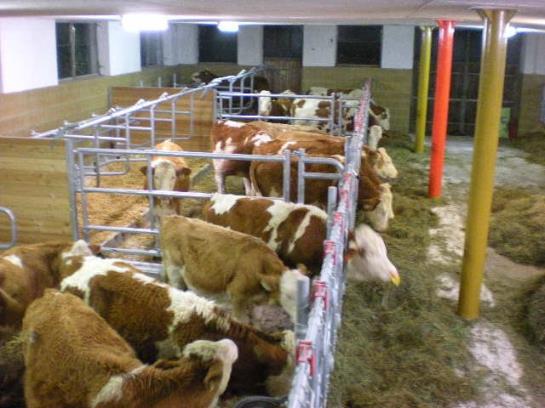 Bauernhof Vierthalerhof