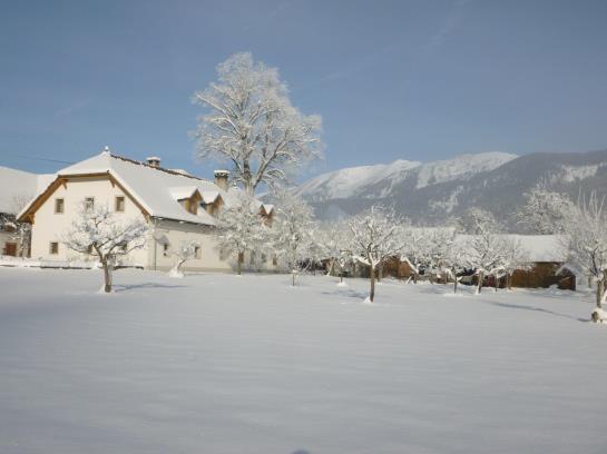 Bauernhof Waldbauer