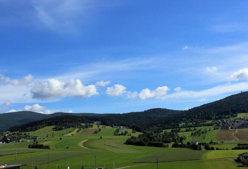 هتل Böhmerwaldhof