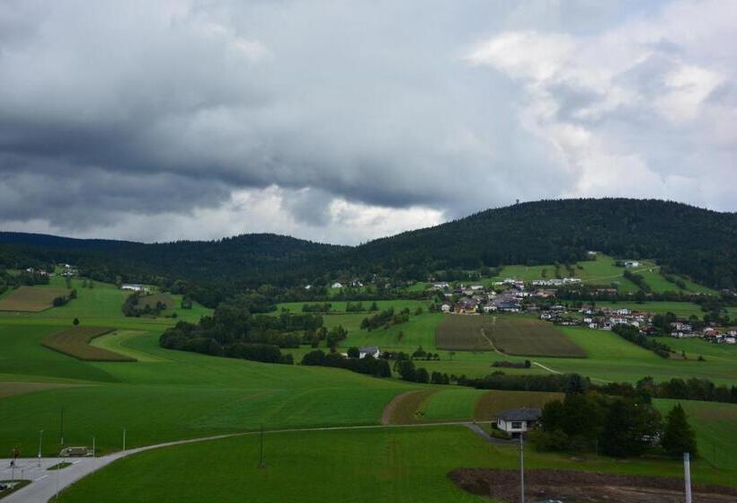 هتل Böhmerwaldhof