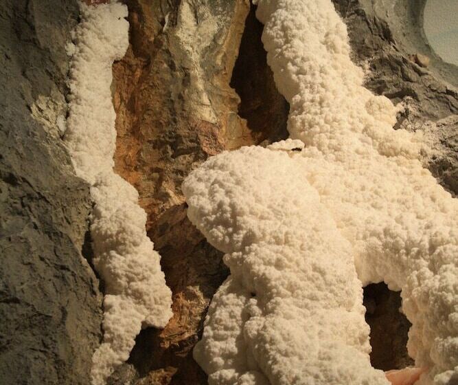 בית מלון כפרי Bichlingerhof