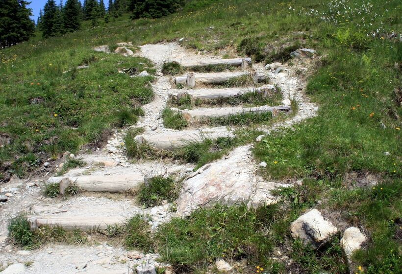 בית מלון כפרי Bichlingerhof