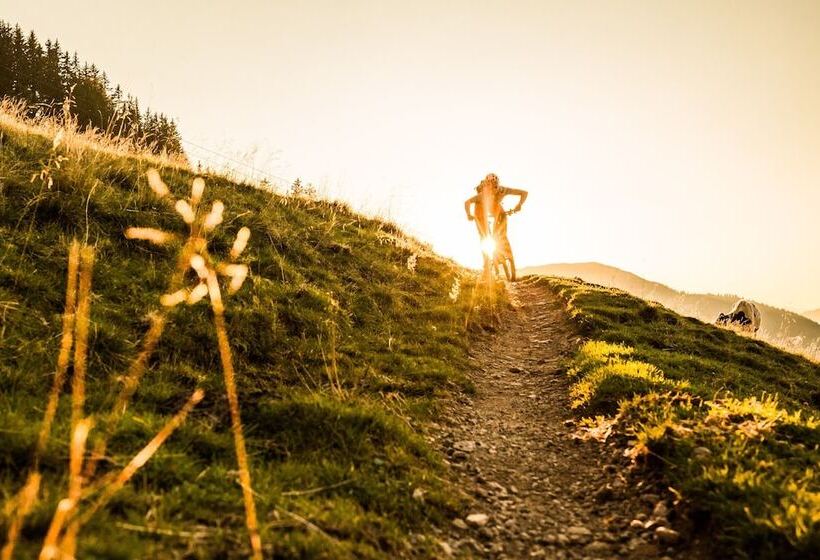 בית מלון כפרי Bichlingerhof