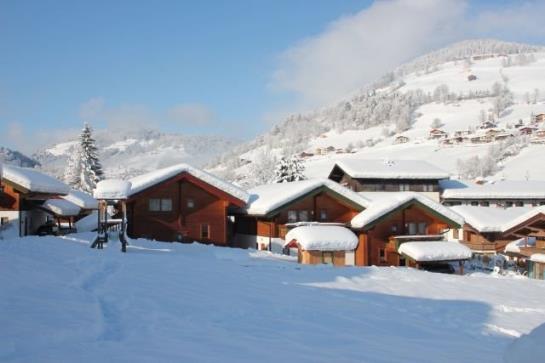 酒店 Feriendorf Wildschönau