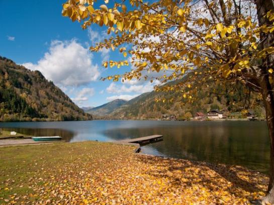 בית מלון כפרי Ferienhaus Hollinger