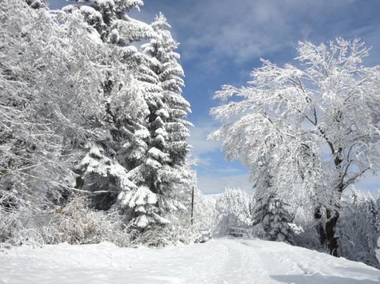 בית מלון כפרי Ferienhaus Hollinger
