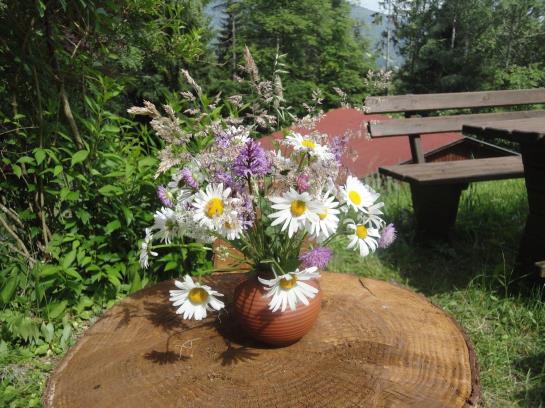 בית מלון כפרי Ferienhaus Hollinger